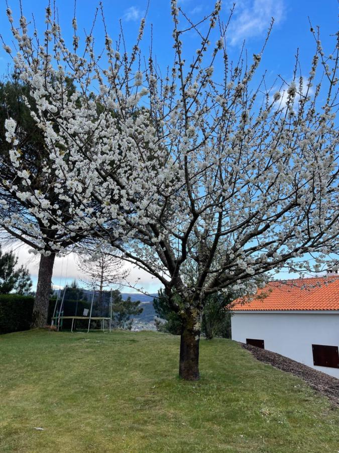 Casa Catita - Douro Villa ไบเยา ภายนอก รูปภาพ