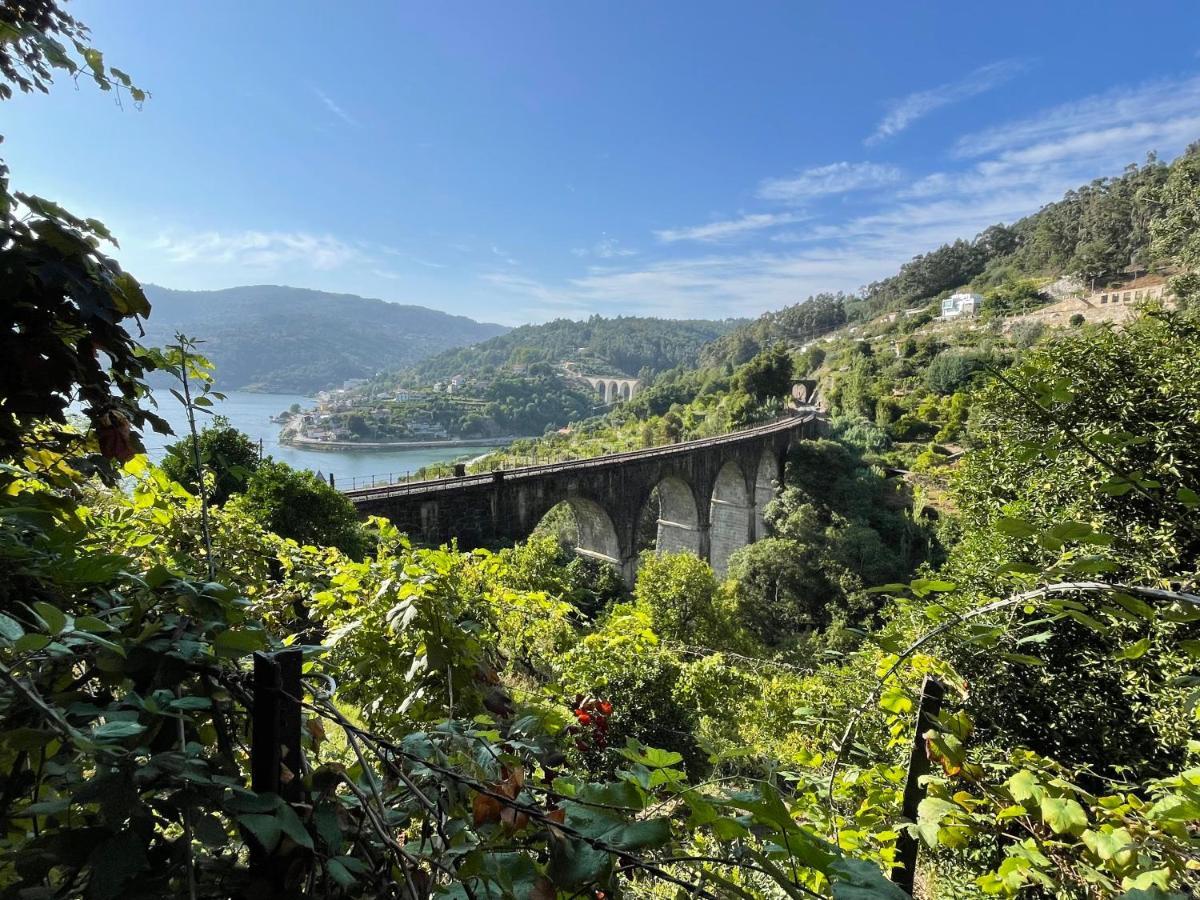 Casa Catita - Douro Villa ไบเยา ภายนอก รูปภาพ